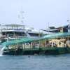 Bali Hai Day Cruise (6)