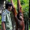 Bali Safari Marine Park