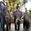 Bali Zoo (10)