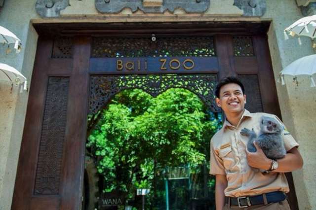 Bali Zoo (5)