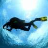 Scuba Diving (5)