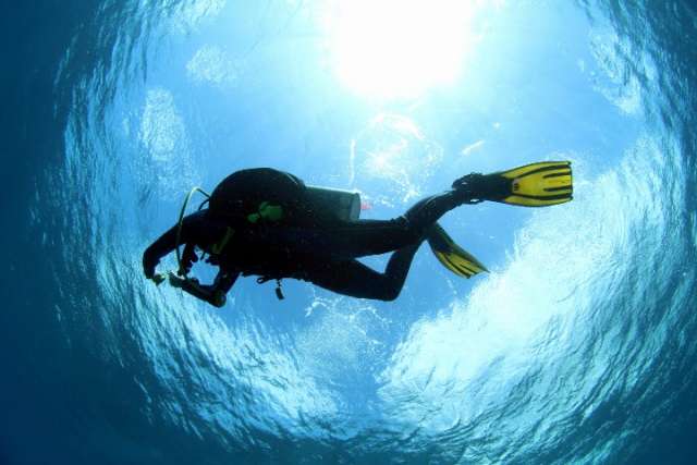 Scuba Diving (5)
