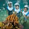 Bali Hai Reef Cruise (1)
