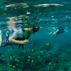 Bali Hai Reef Cruise (2)