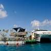 Bali Hai Reef Cruise (4)