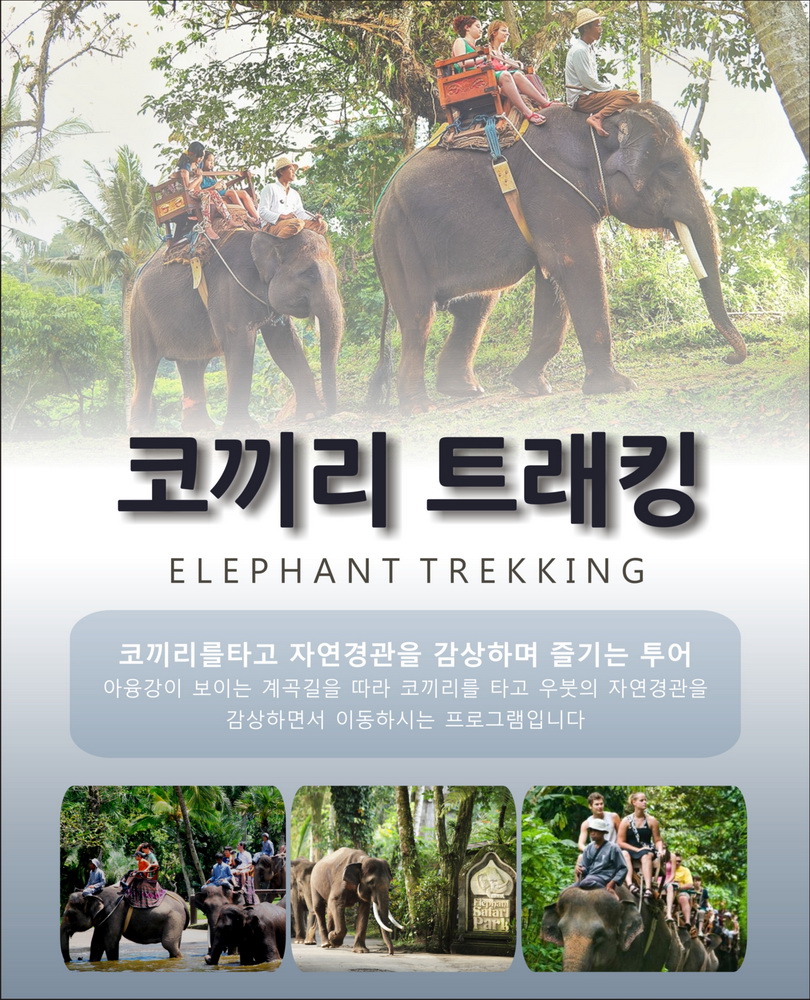 ELEPHANTTREKKING