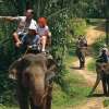 Elephant Ride (4)