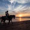 Horse Riding (1)