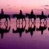 Horse Riding (2)