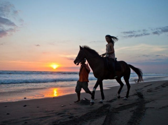 Horse Riding (4)