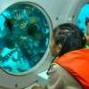 Odyssey Submarine (5)