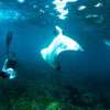 Rocky Lembongan (4)