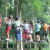 Treetop (1)