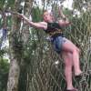 Treetop (3)