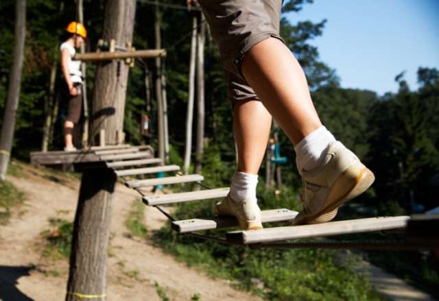 Treetop (5)