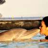 Wake Bali Dolphin (1)