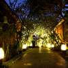 Disini Spa (6)