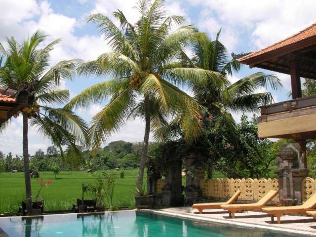 Green Field Pool 2