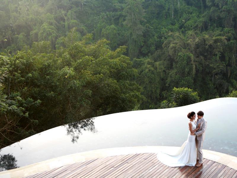 Hanging Garden Pool3