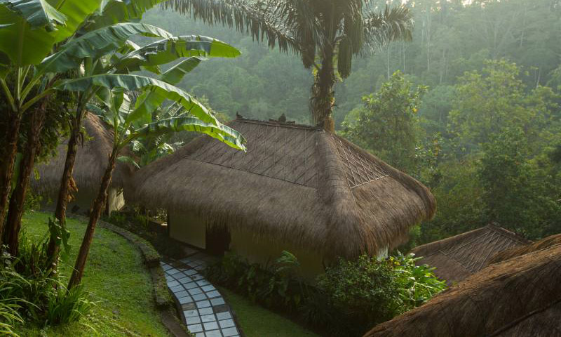 Nandini Bali Jungle Resort and Spa (3)