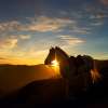 sunrise-bromo1