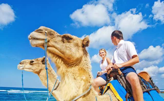 Bali-Camel-Safari-in-Nusa-Dua-2