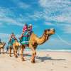 Bali-Camel-Safari_3-copy1