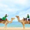 Bali_Camel_Safari_3_o2rhy7