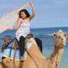 bali-camel-safaris-photos-2-800×600