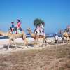 bali-camel-safaris-photos-41-800×600