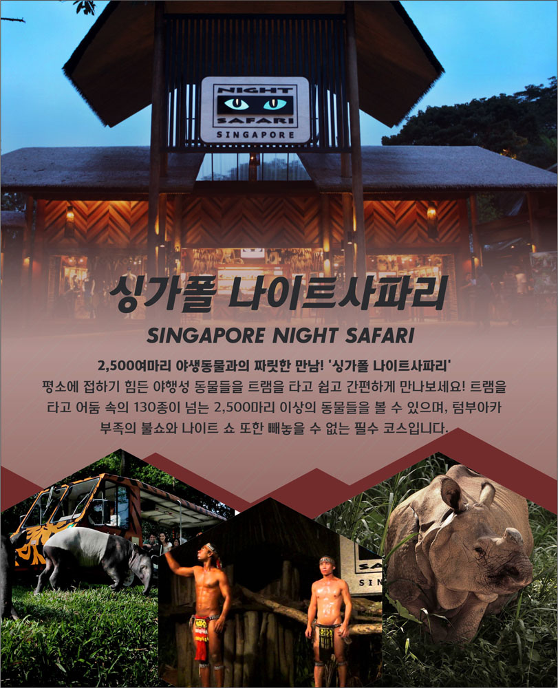 night safari