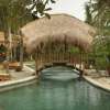 alayaubud_10