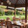 alayaubud_12