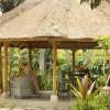 alayaubud_2