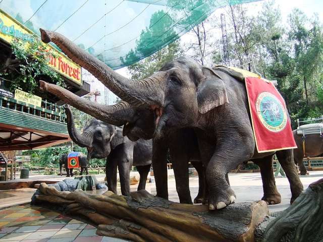 jakartatamansafari_01
