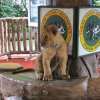 jakartatamansafari_02