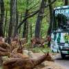 jakartatamansafari_05