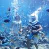 baliseawalker_10