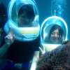 baliseawalker_3