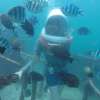 baliseawalker_8