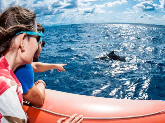 dolphincruise_10