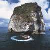 dolphincruise_2