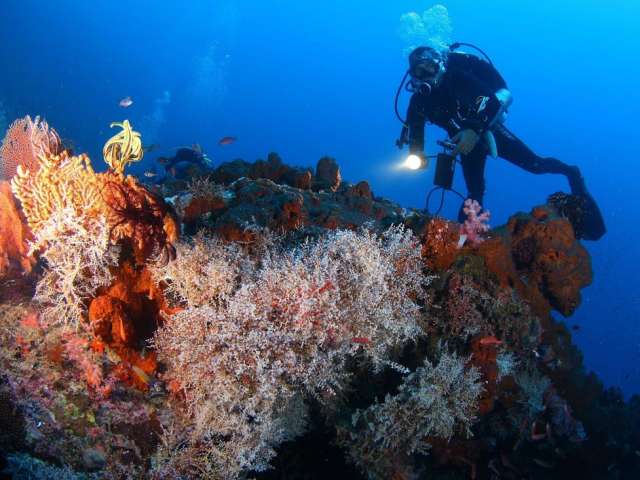 menjangandiving_3