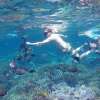 Nusa_Penida_Nusa_Lembongan_Snorkeling_Tour_5