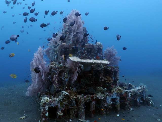 Amed_Snorkeling_Tour_3