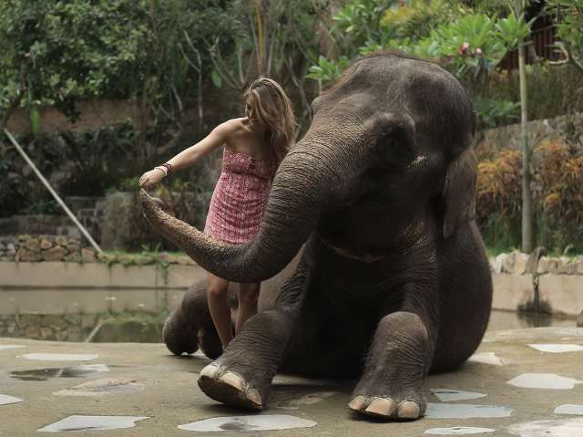 Lombok_Elephant_Park_1