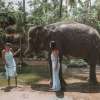 Lombok_Elephant_Park_2