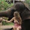 Lombok_Elephant_Park_6