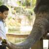 Lombok_Elephant_Park_7