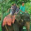 Lombok_Elephant_Park_9